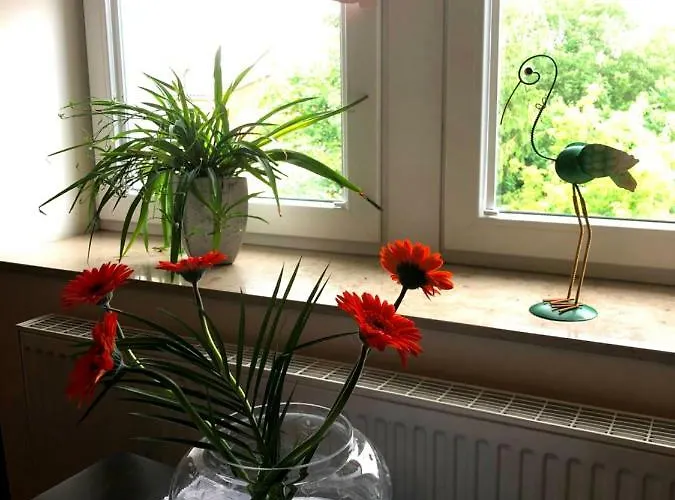 An Der Elbfaehre Drezno