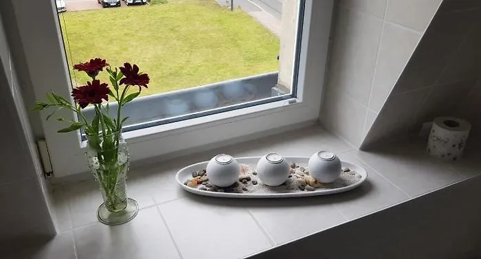 An Der Elbfaehre Drezno