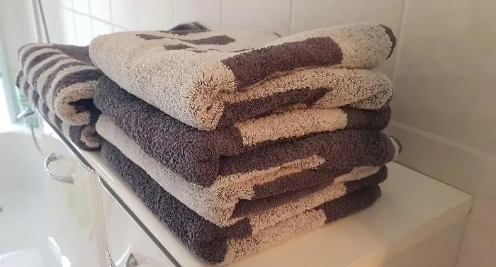 An Der Elbfaehre Dresda