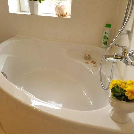 An Der Elbfaehre * 德累斯顿