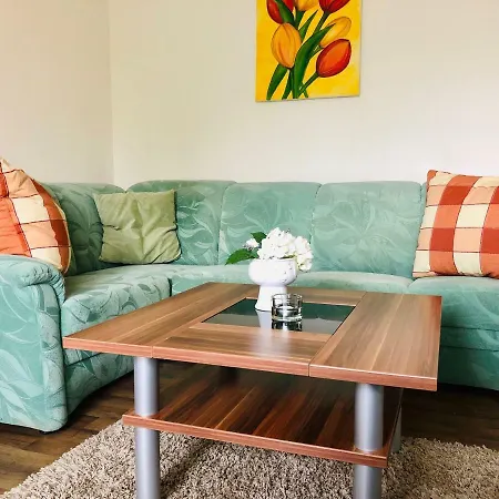 An Der Elbfaehre 德累斯顿