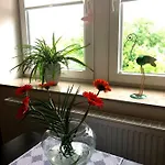 An Der Elbfaehre 드레스덴